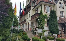 Hotel Il David
